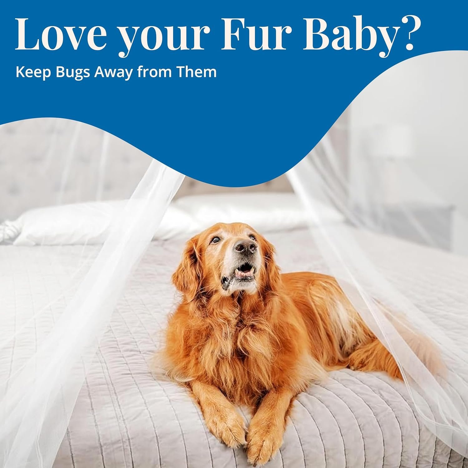 Mosquito Netting for Bed - Image 6